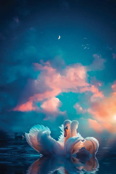 A Pair Of White Swans In Love by GEN Z framed canvas print