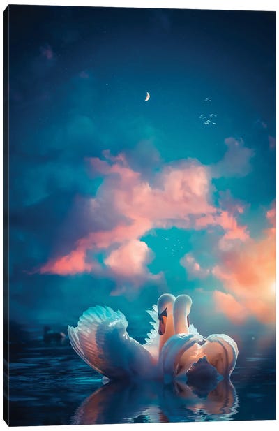 A Pair Of White Swans In Love Canvas Art Print - Blue Art