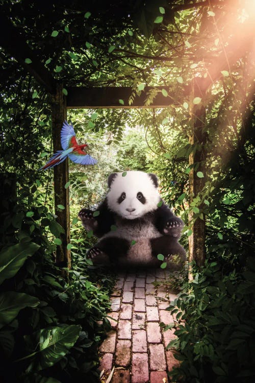 Cute Giant Baby Panda In Forest