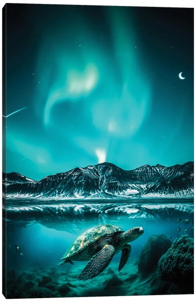 Aurora Borealis Turtle Swimming Underwater Canvas Art Print - Aurora Borealis Art