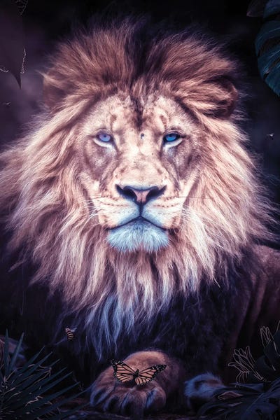 Lion Sitting In The Exotic Jungle by GEN Z framed canvas print