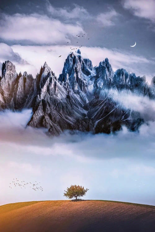 Alone Tree In Front Of The Dark Mountain