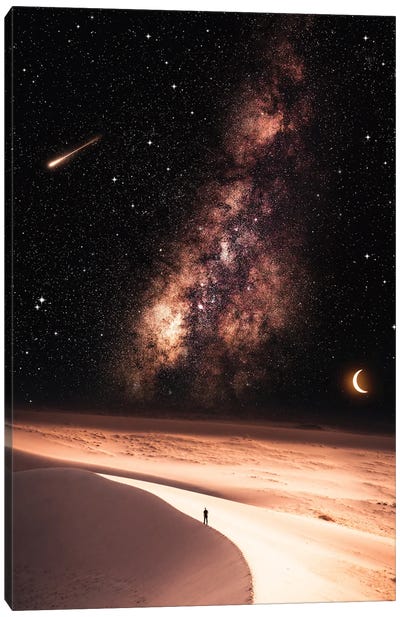 Desert Brown Milky Way Starry Night Canvas Art Print - Milky Way Galaxy Art
