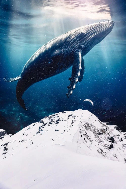 Giant Blue Whale Over The Snowing Mountains