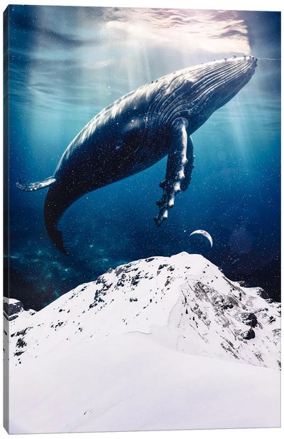 Giant Blue Whale Over The Snowing Mountains Canvas Art Print - GEN Z