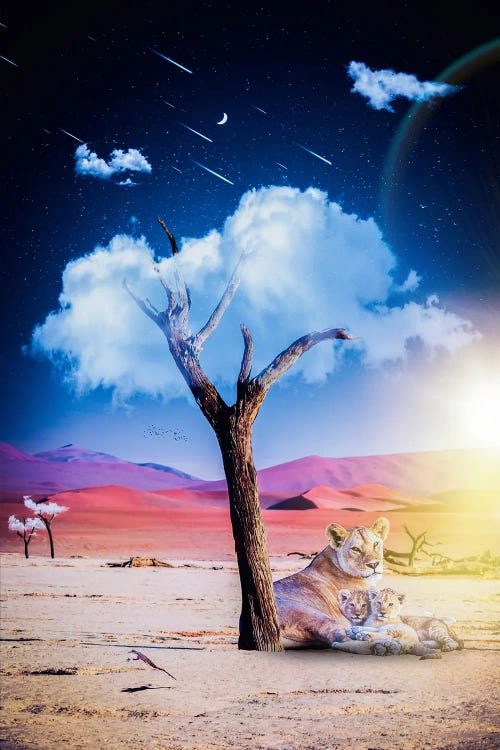 Cloud Tree And Lion Family Under Starry Night