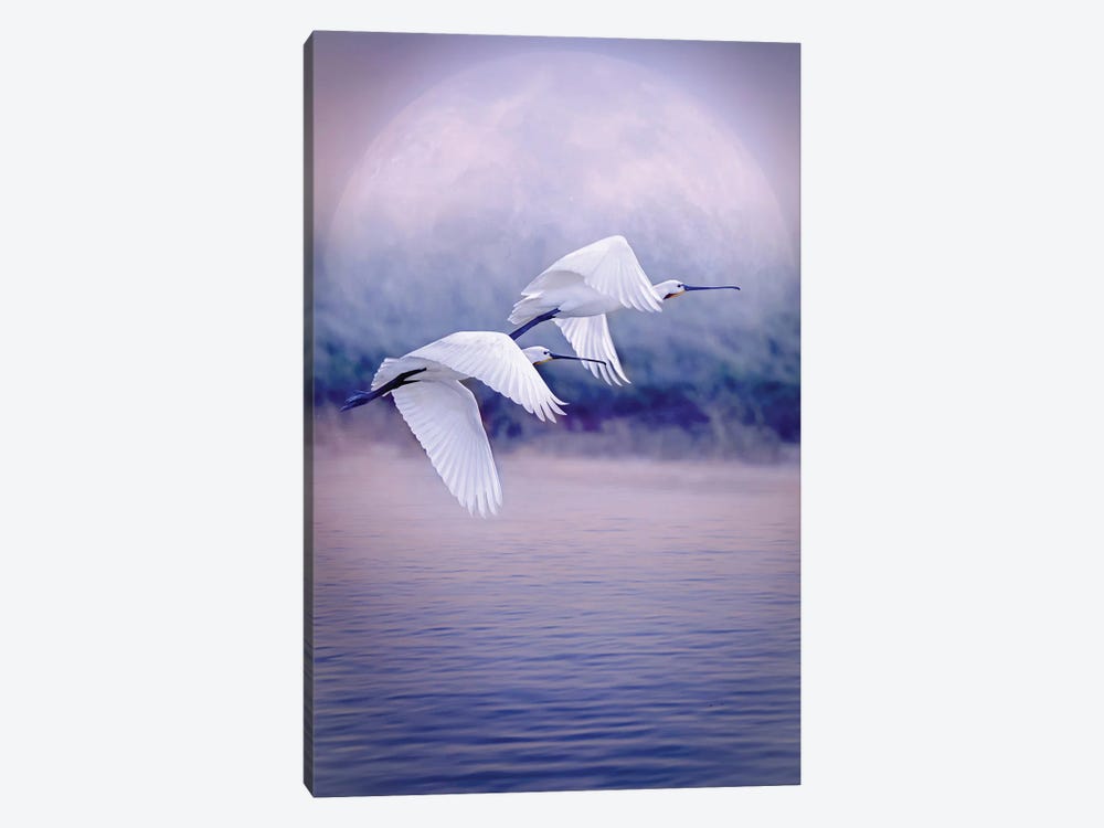 Birds That Fly In Front Of The Moon by GEN Z 1-piece Canvas Wall Art