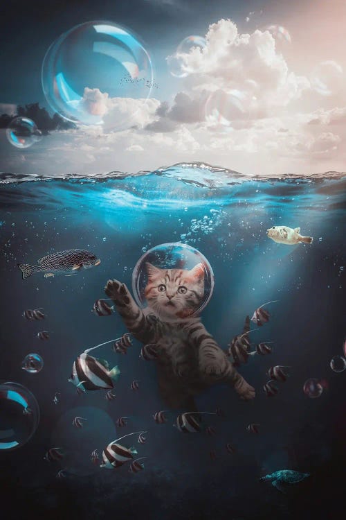 A Cute Cat Bubble With Fish Underwater Ocean