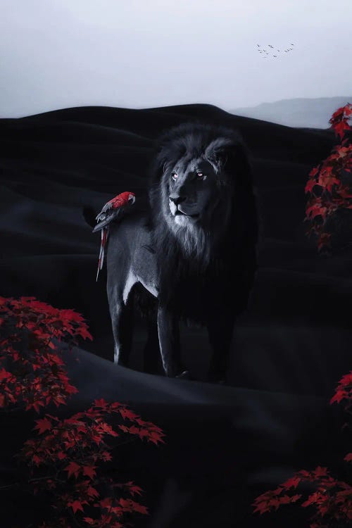 Black Lion And Parrot