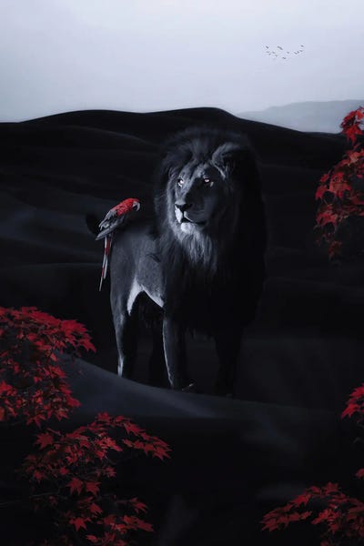 GEN Z: Black Lion And Parrot by GEN Z