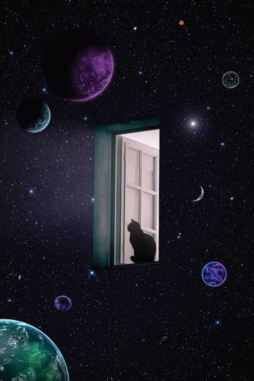 Black Cat At The Window Admiring The Planets In The Universe