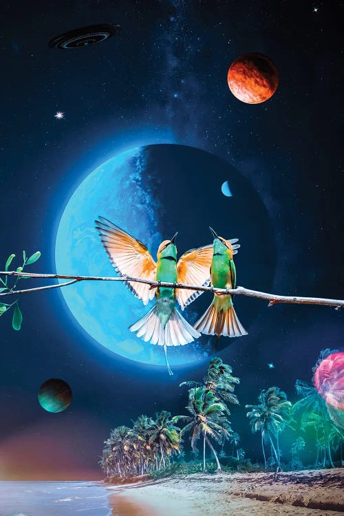 Birds On A Tropical Beach And Space Starry Sky