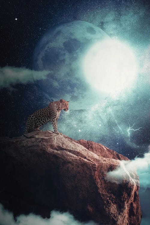 Wild Leopard In The Night Dominating The Savannah by GEN Z wall art