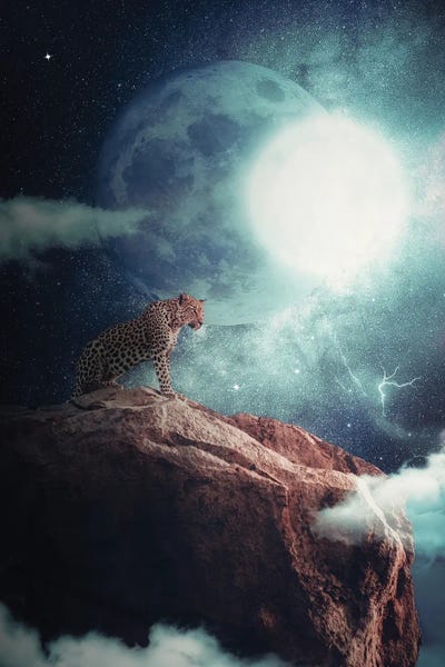 GEN Z: Wild Leopard In The Night Dominating The Savannah by GEN Z