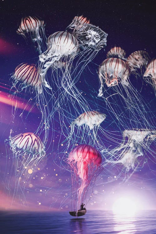 The Magical Kingdom Of Jellyfish In The Starry Night