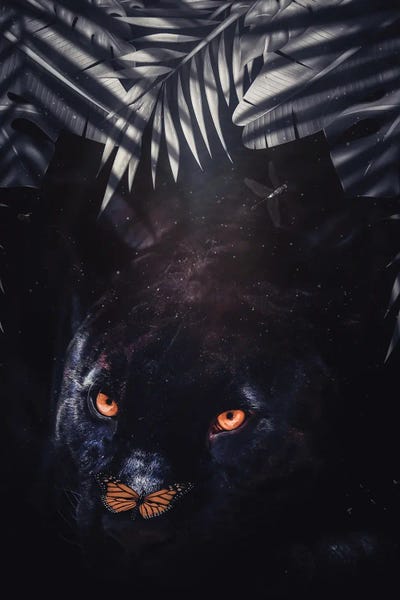 Panthers: Black Panther And Orange Butterfly by GEN Z