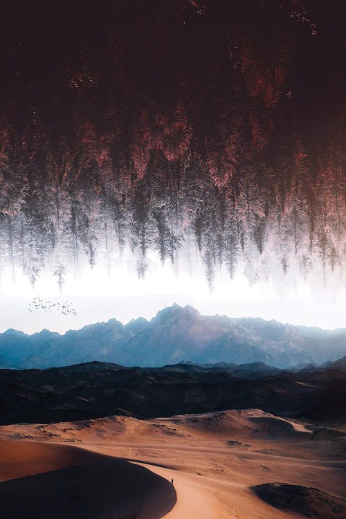 Surreal Upside Down Forest In The Desert