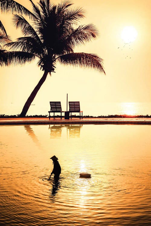 Silhouette Vietnamese Fisherman In Pool