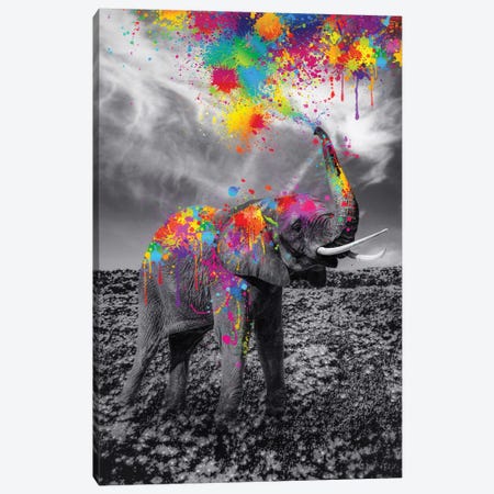 Black And White Elephant Play With Colors Paint Canvas Print #GEZ58} by GEN Z Canvas Artwork