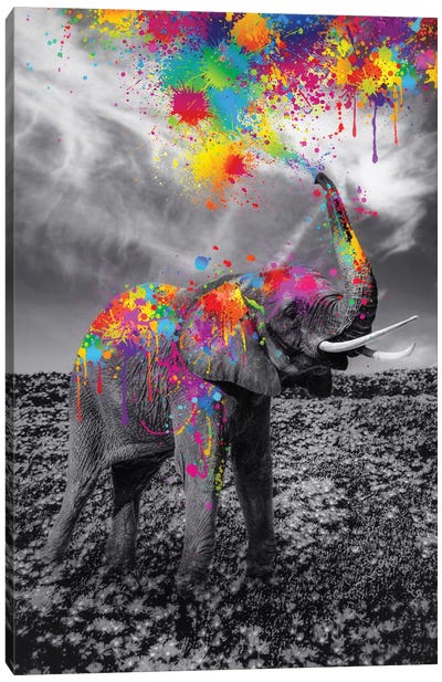 Black And White Elephant Play With Colors Paint Canvas Art Print - GEN Z