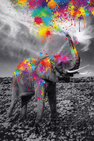 GEN Z: Black And White Elephant Play With Colors Paint by GEN Z
