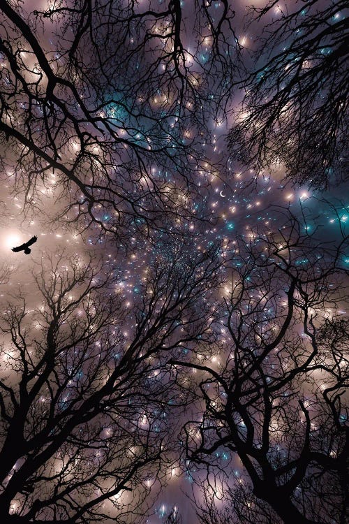 Owl In The Starry Night Silhouette Branches Tree
