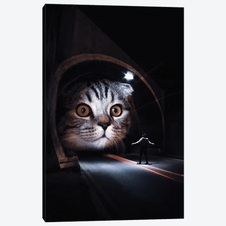 Giant Cat Play In Tunnels Canvas Print #GEZ64} by GEN Z Canvas Art