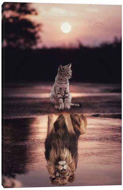 Cats Are Lions Puddle Reflection And Sunset Canvas Art Print - Animal & Pet Photography