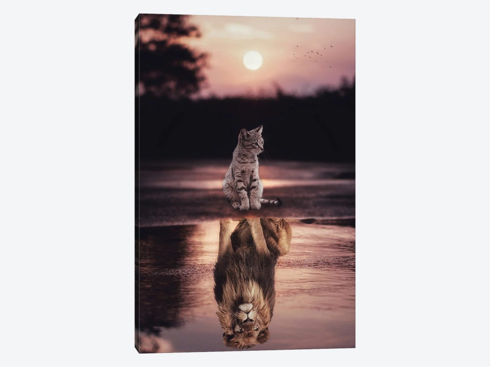 Cats Are Lions Puddle Reflection And Sunset by GEN Z 1-piece Canvas Art Print