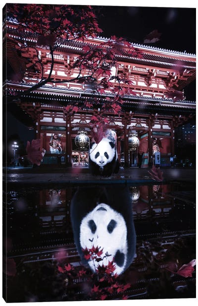 Chinese Panda Puddle Street Reflection Canvas Art Print - Through The Looking Glass