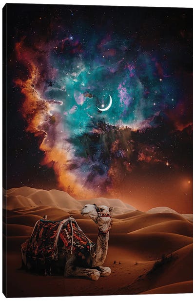 Desert Camel And Crescent Moon Canvas Art Print - Camel Art