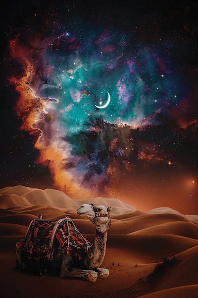 Desert Camel And Crescent Moon
