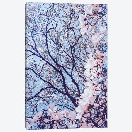 Aesthetic Cherry Flowers Canvas Print #GEZ7} by GEN Z Canvas Art Print