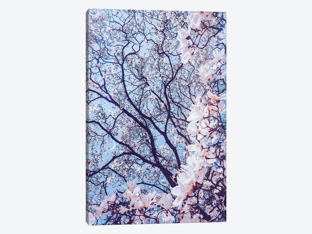Aesthetic Cherry Flowers by GEN Z 1-piece Canvas Art