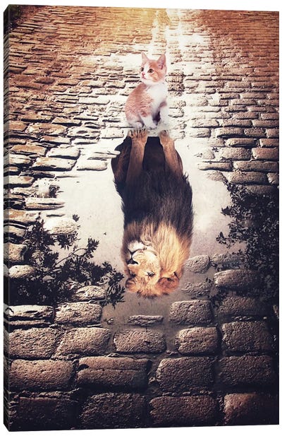 Dreaming Of Cat Puddle Reflection In The Cobblestones Canvas Art Print - Kitten Art