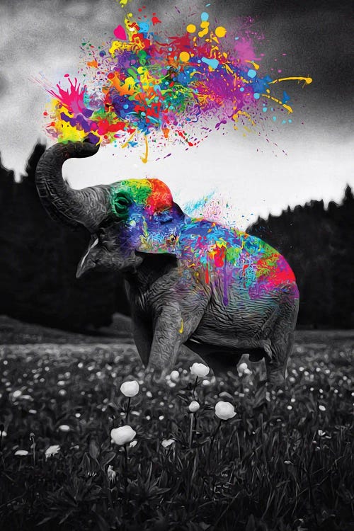 Elephant Enjoy Color Splash Paint by GEN Z wall art