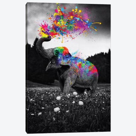 Elephant Enjoy Color Splash Paint Canvas Print #GEZ82} by GEN Z Canvas Print