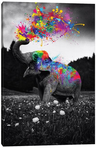 Elephant Enjoy Color Splash Paint Canvas Art Print - Elephant Art