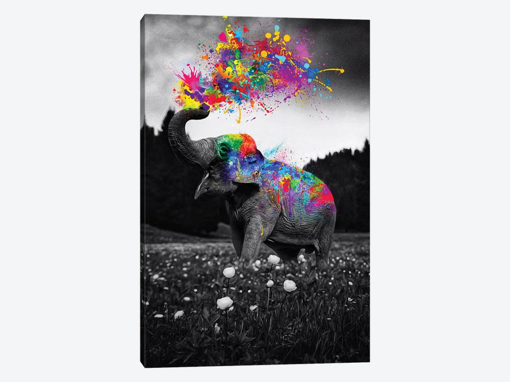 Elephant Enjoy Color Splash Paint by GEN Z 1-piece Canvas Wall Art