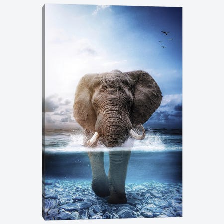 Elephant Walking In The Sea Canvas Print #GEZ83} by GEN Z Canvas Art Print
