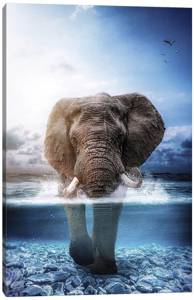 Elephant Walking In The Sea Canvas Art Print