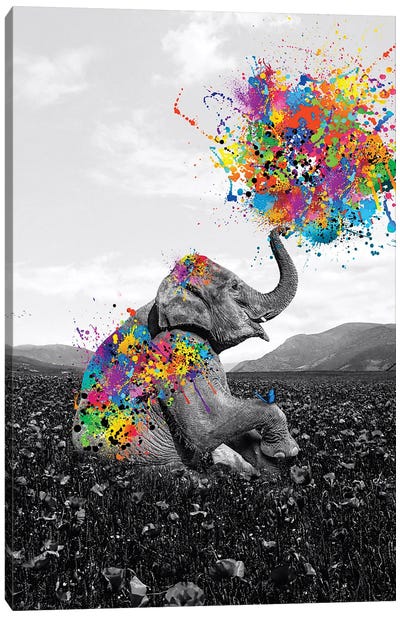 Elephant Sitting In Flowers Meadow Playing With Paint Canvas Art Print - Elephant Art