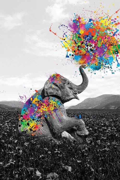 Elephant Sitting In Flowers Meadow Playing With Paint by GEN Z wall art