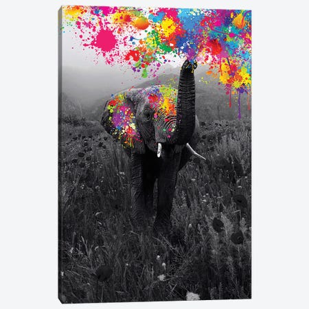 Elephant Playing With Paint In Black And White Nature Canvas Print #GEZ85} by GEN Z Canvas Art