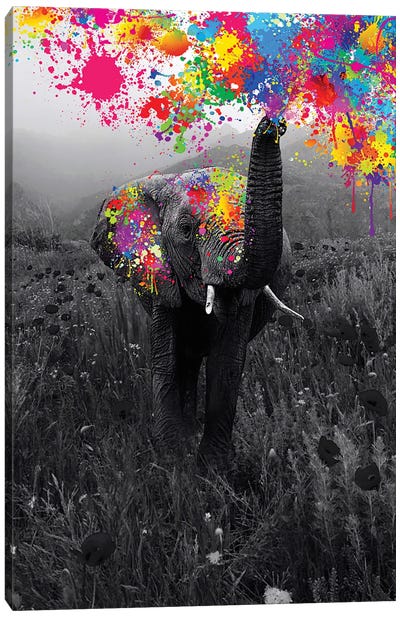 Elephant Playing With Paint In Black And White Nature Canvas Art Print - GEN Z