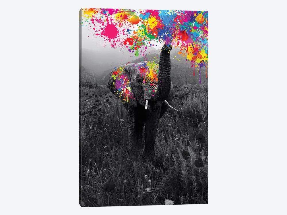 Elephant Playing With Paint In Black And White Nature by GEN Z 1-piece Canvas Art Print