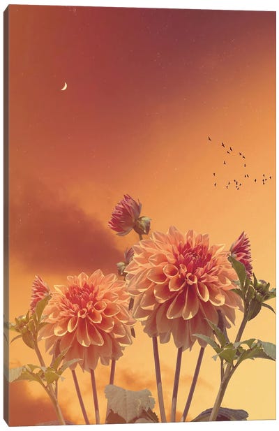 Aesthetic Dahlia Orange Canvas Art Print - Monarch Metamorphosis
