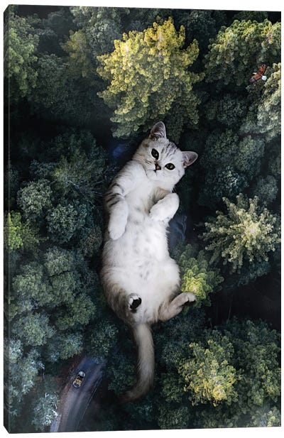 A Giant Cat Lying On Its Back In The Forest Canvas Art Print - Reclaimed by Nature