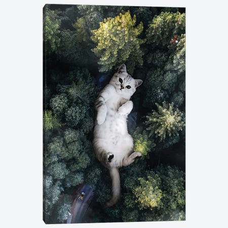 A Giant Cat Lying On Its Back In The Forest Canvas Print #GEZ90} by GEN Z Canvas Art