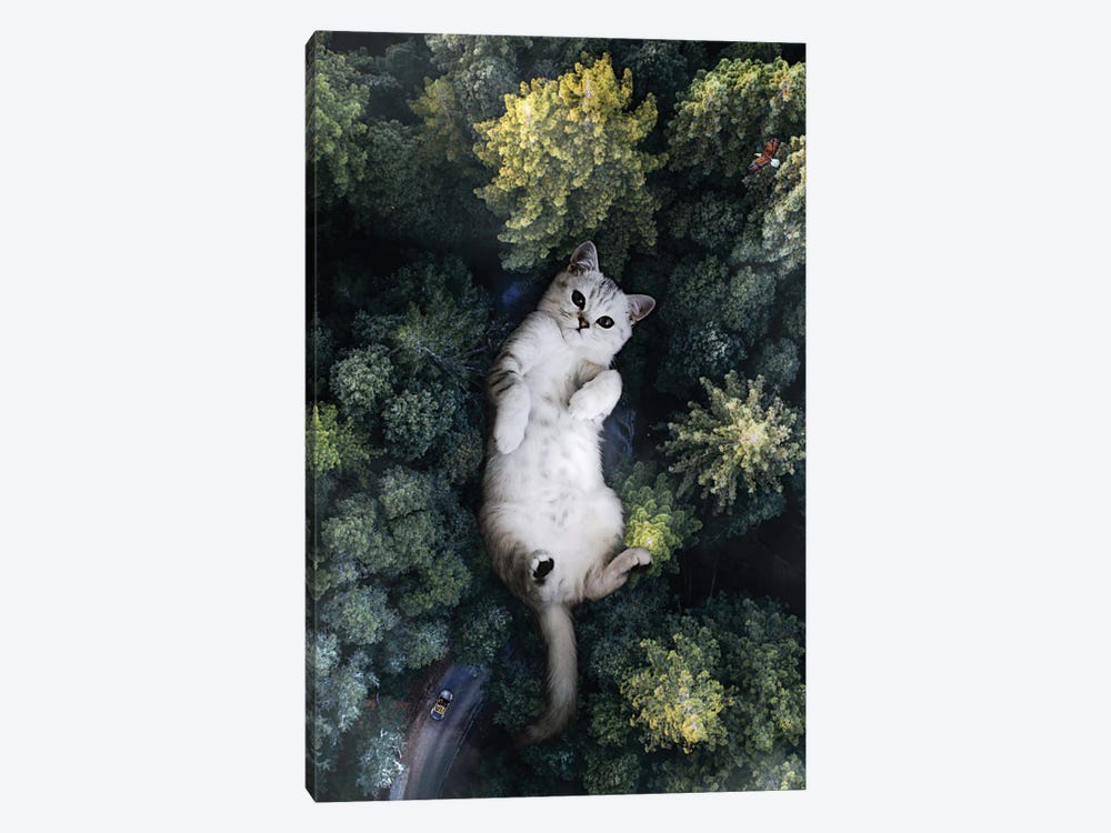 A Giant Cat Lying On Its Back In The Forest by GEN Z 1-piece Canvas Print